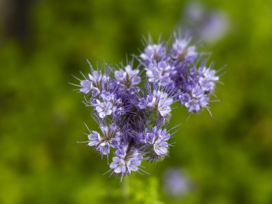 'T Torentje recreatie web-15