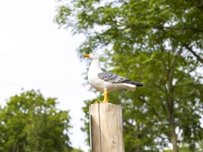 'T Torentje recreatie web-20